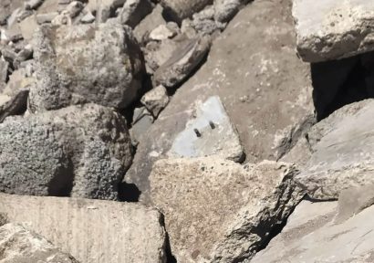 FRWA Contaminated Road Base Material